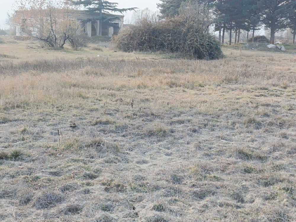 იყიდება მიწა ქალაქ კასპში